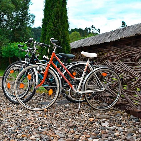 Acasa In Maramures Feresti Luaran gambar